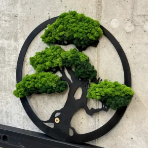 Juodas medinis bonsai siluetas su samanomis pakabintas ant betono sienos — lazeriu pjauta interjero dekoracija | Graviruotojai.lt